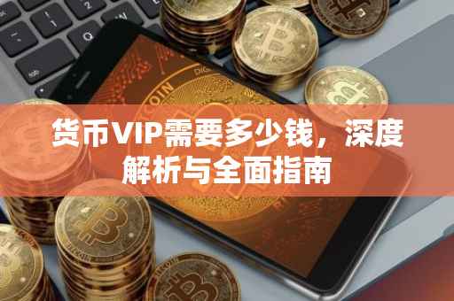 货币VIP需要多少钱，深度解析与全面指南