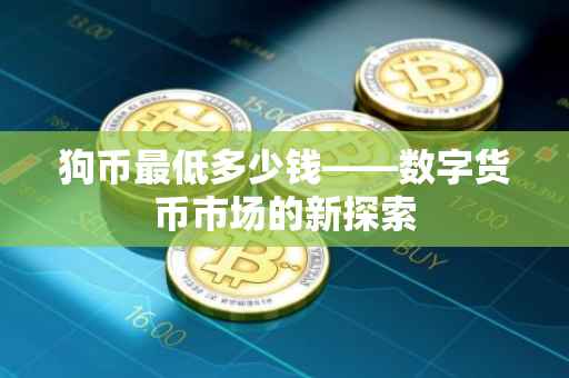 狗币最低多少钱——数字货币市场的新探索