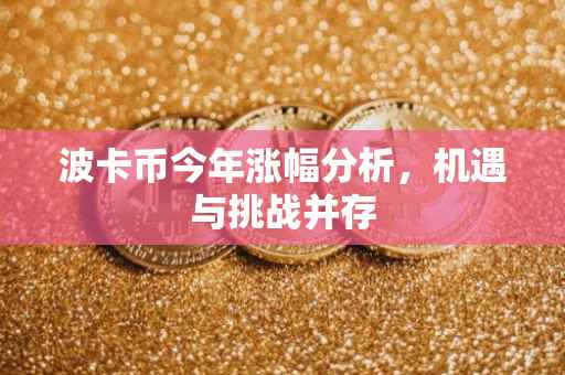 波卡币今年涨幅分析，机遇与挑战并存