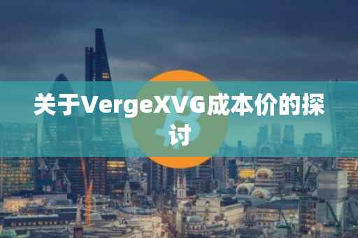 关于VergeXVG成本价的探讨
