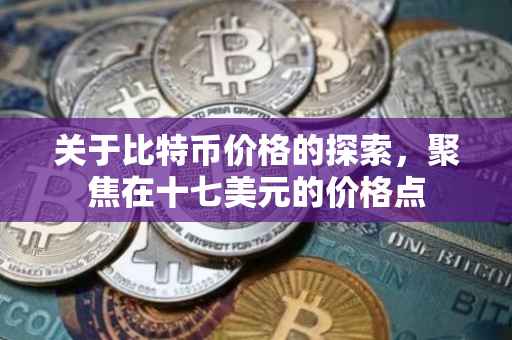 关于比特币价格的探索，聚焦在十七美元的价格点
