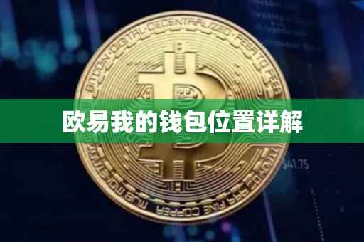 欧易我的钱包位置详解