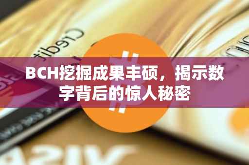 BCH挖掘成果丰硕，揭示数字背后的惊人秘密