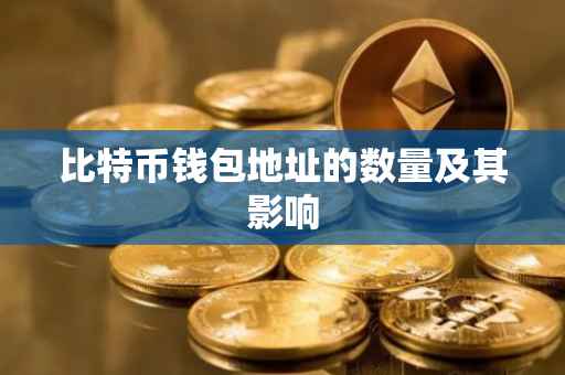 比特币钱包地址的数量及其影响