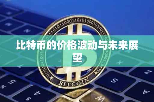 比特币的价格波动与未来展望