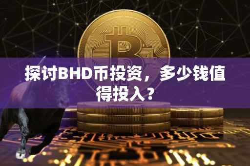 探讨BHD币投资，多少钱值得投入？