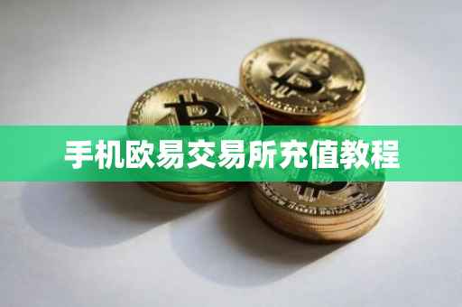 手机欧易交易所充值教程