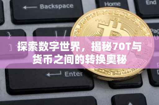 探索数字世界，揭秘70T与货币之间的转换奥秘