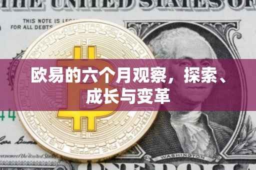 欧易的六个月观察，探索、成长与变革