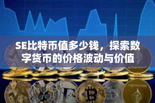 SE比特币值多少钱，探索数字货币的价格波动与价值