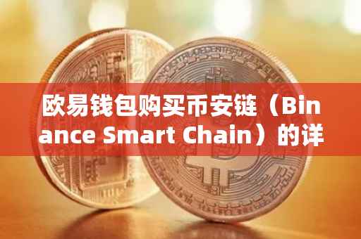 欧易钱包购买币安链（Binance Smart Chain）的详细指南
