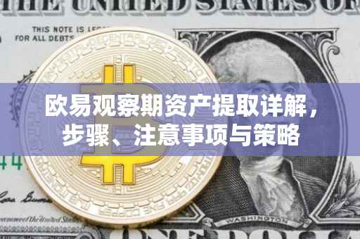 欧易观察期资产提取详解，步骤、注意事项与策略