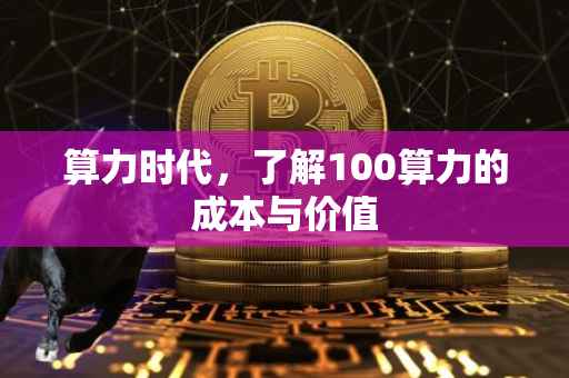 算力时代，了解100算力的成本与价值