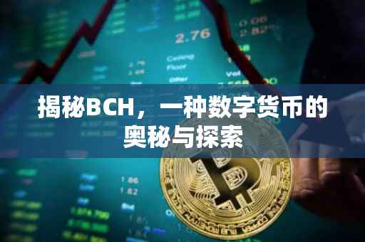 揭秘BCH，一种数字货币的奥秘与探索
