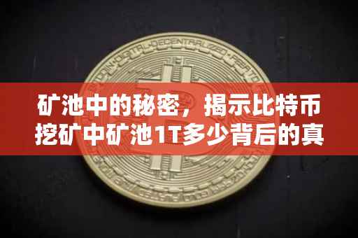 矿池中的秘密，揭示比特币挖矿中矿池1T多少背后的真相
