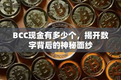 BCC现金有多少个，揭开数字背后的神秘面纱