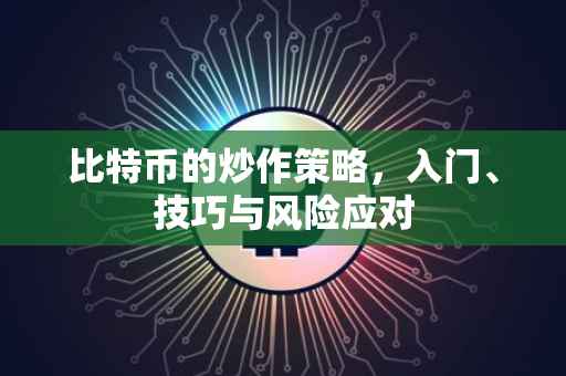 比特币的炒作策略，入门、技巧与风险应对
