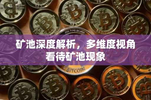 矿池深度解析，多维度视角看待矿池现象