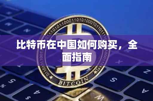 比特币在中国如何购买，全面指南