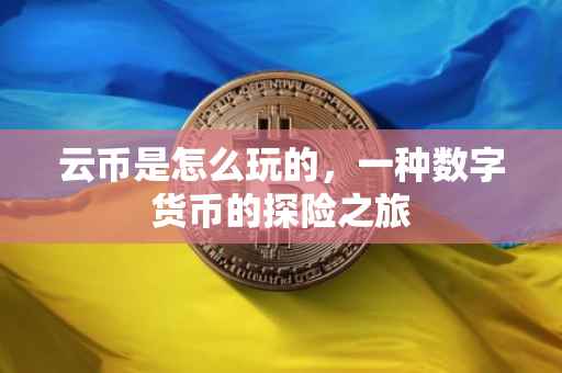 云币是怎么玩的，一种数字货币的探险之旅
