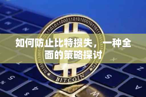如何防止比特损失，一种全面的策略探讨