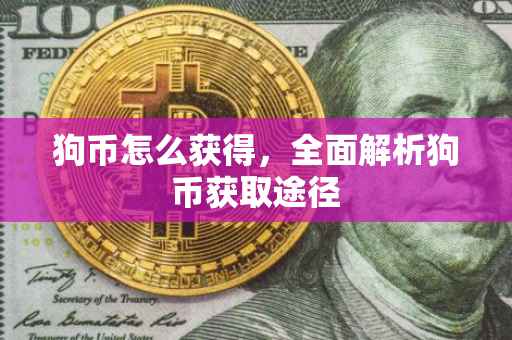 狗币怎么获得，全面解析狗币获取途径