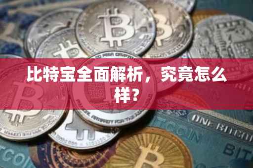 比特宝全面解析，究竟怎么样？