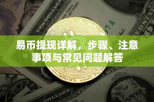 易币提现详解，步骤、注意事项与常见问题解答
