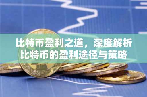 比特币盈利之道，深度解析比特币的盈利途径与策略