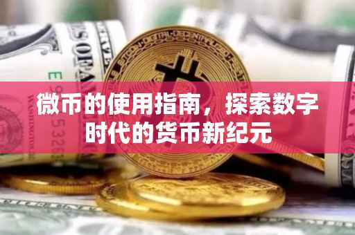 微币的使用指南，探索数字时代的货币新纪元