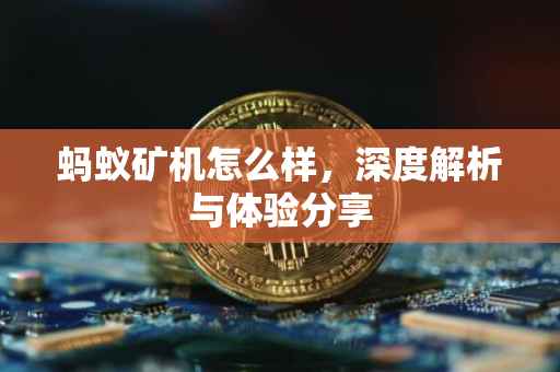 蚂蚁矿机怎么样，深度解析与体验分享