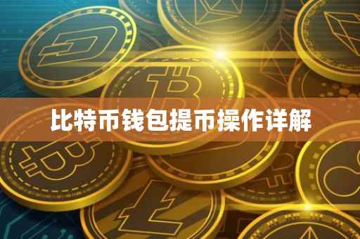 比特币钱包提币操作详解