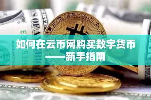 如何在云币网购买数字货币——新手指南