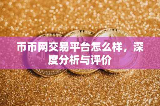 币币网交易平台怎么样，深度分析与评价
