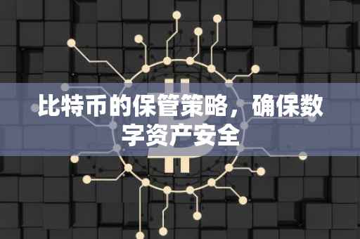 比特币的保管策略，确保数字资产安全