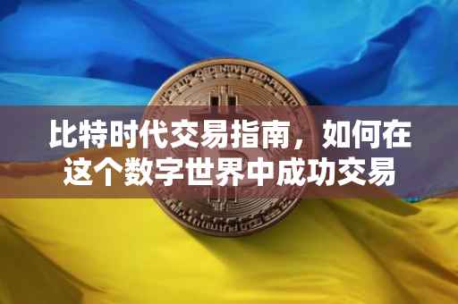 比特时代交易指南，如何在这个数字世界中成功交易
