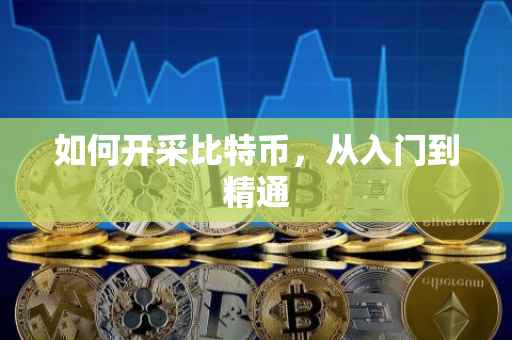 如何开采比特币，从入门到精通