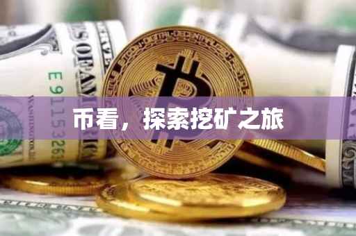 币看，探索挖矿之旅