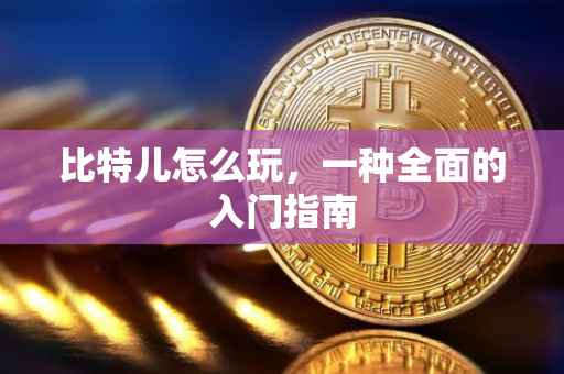 比特儿怎么玩，一种全面的入门指南