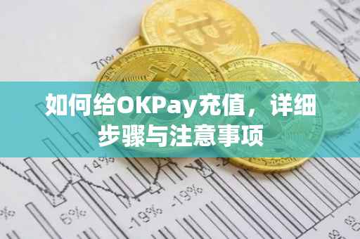 如何给OKPay充值，详细步骤与注意事项