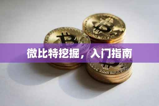 微比特挖掘，入门指南