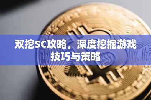 双挖SC攻略，深度挖掘游戏技巧与策略