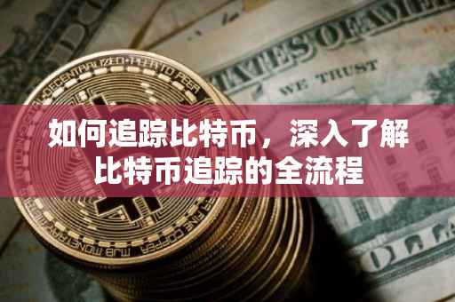 如何追踪比特币，深入了解比特币追踪的全流程