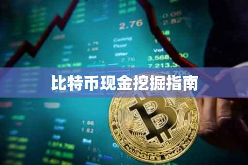 比特币现金挖掘指南