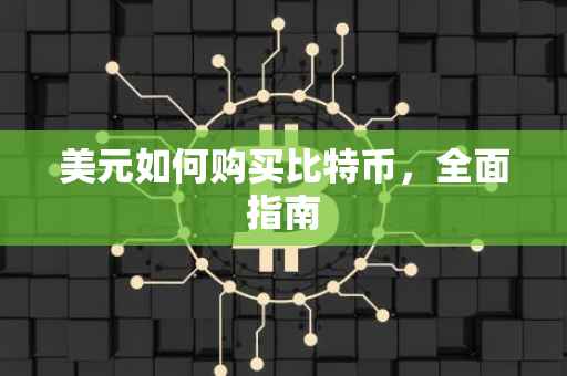 美元如何购买比特币，全面指南