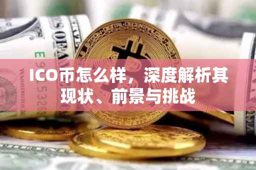 ICO币怎么样，深度解析其现状、前景与挑战