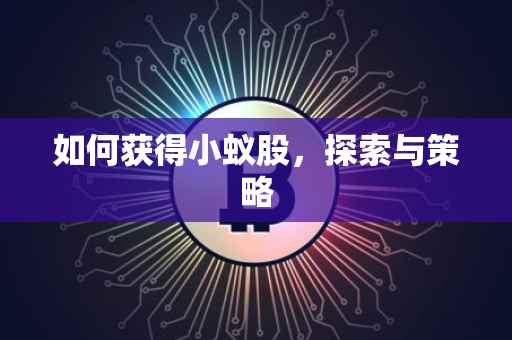 如何获得小蚁股，探索与策略