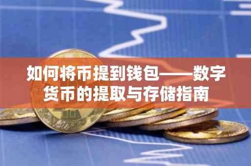 如何将币提到钱包——数字货币的提取与存储指南