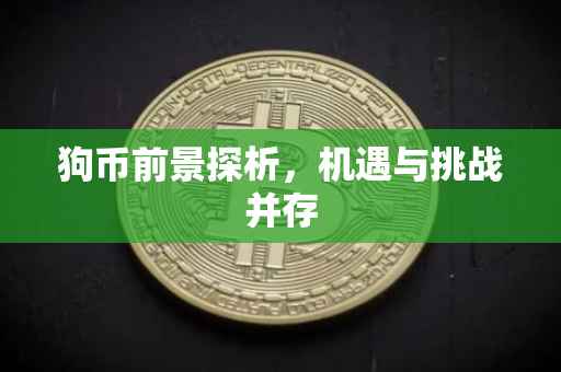 狗币前景探析，机遇与挑战并存