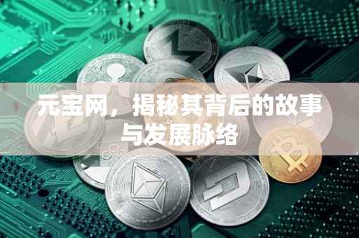 元宝网，揭秘其背后的故事与发展脉络